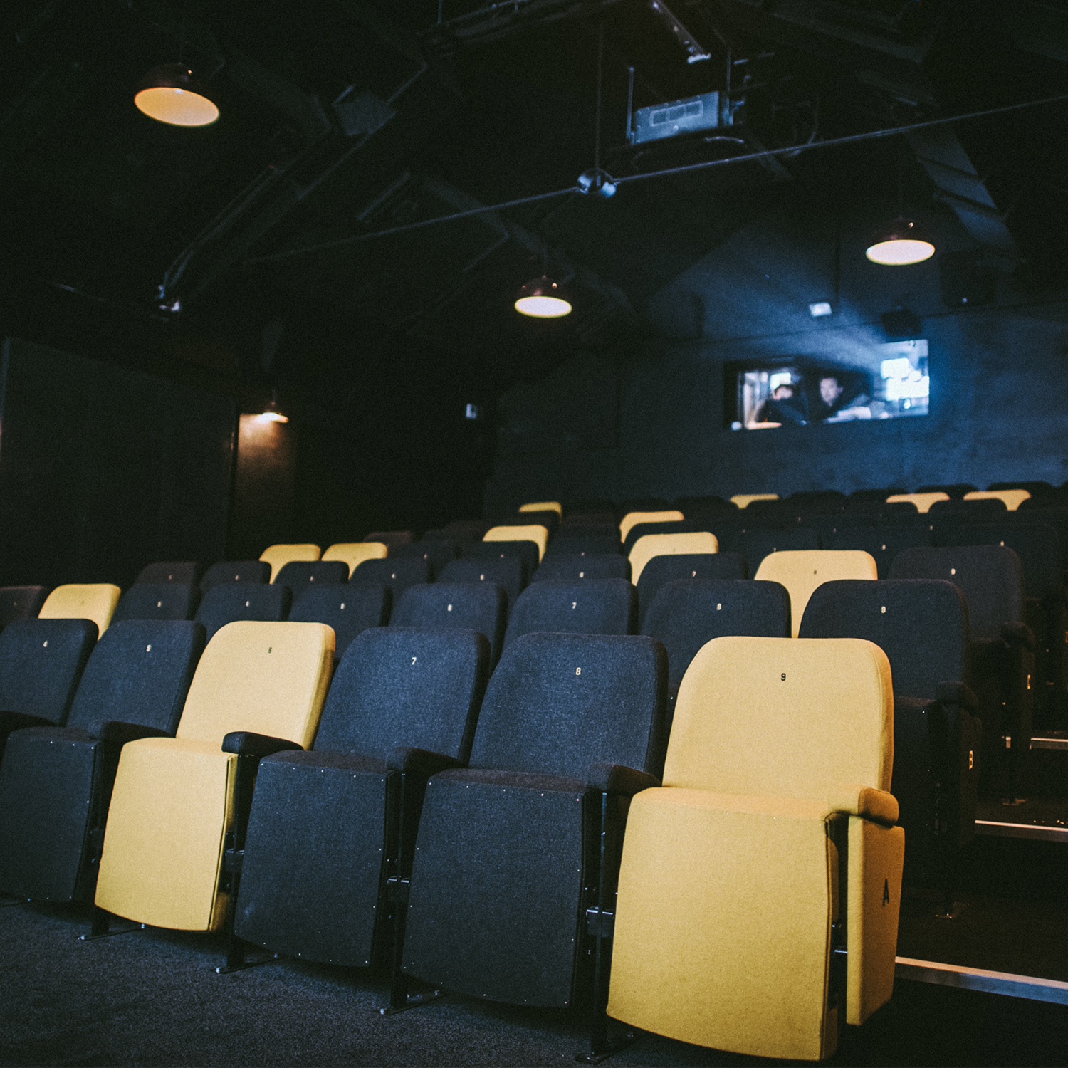 Rows of cinema seats.