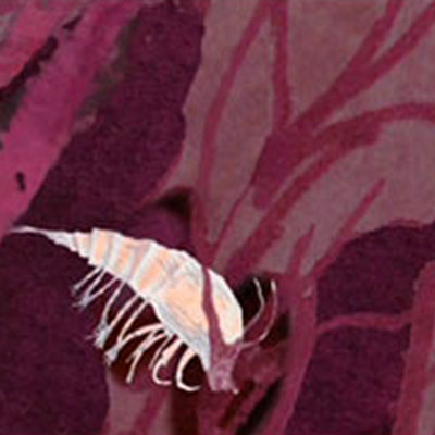 A still from an animation created by Edwina Ashton.