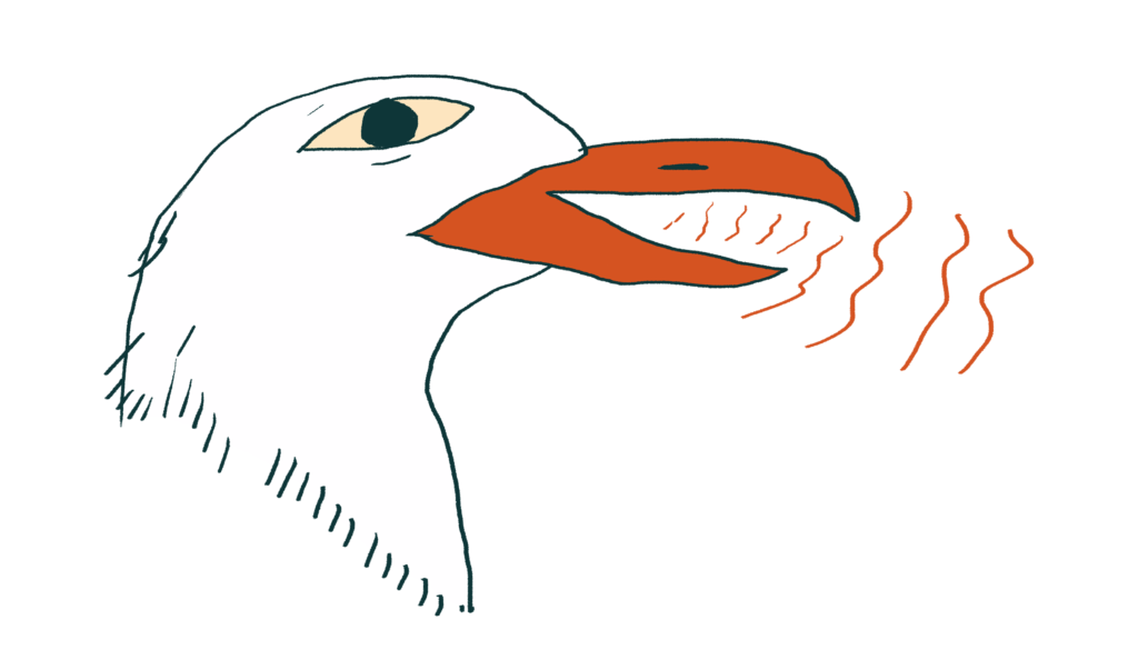 illustration of a seagull