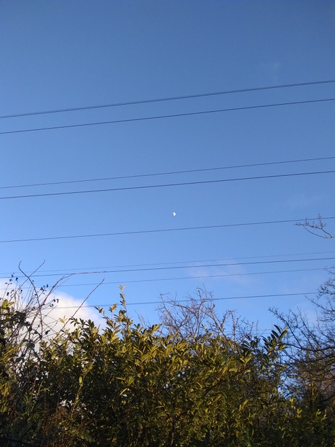 A series of telegraph cables stretch across a blue sky. In the centre of the photograph between the cables, there is a tiny, distant moon. At the bottom of the image there is the top of a green hedgerow.