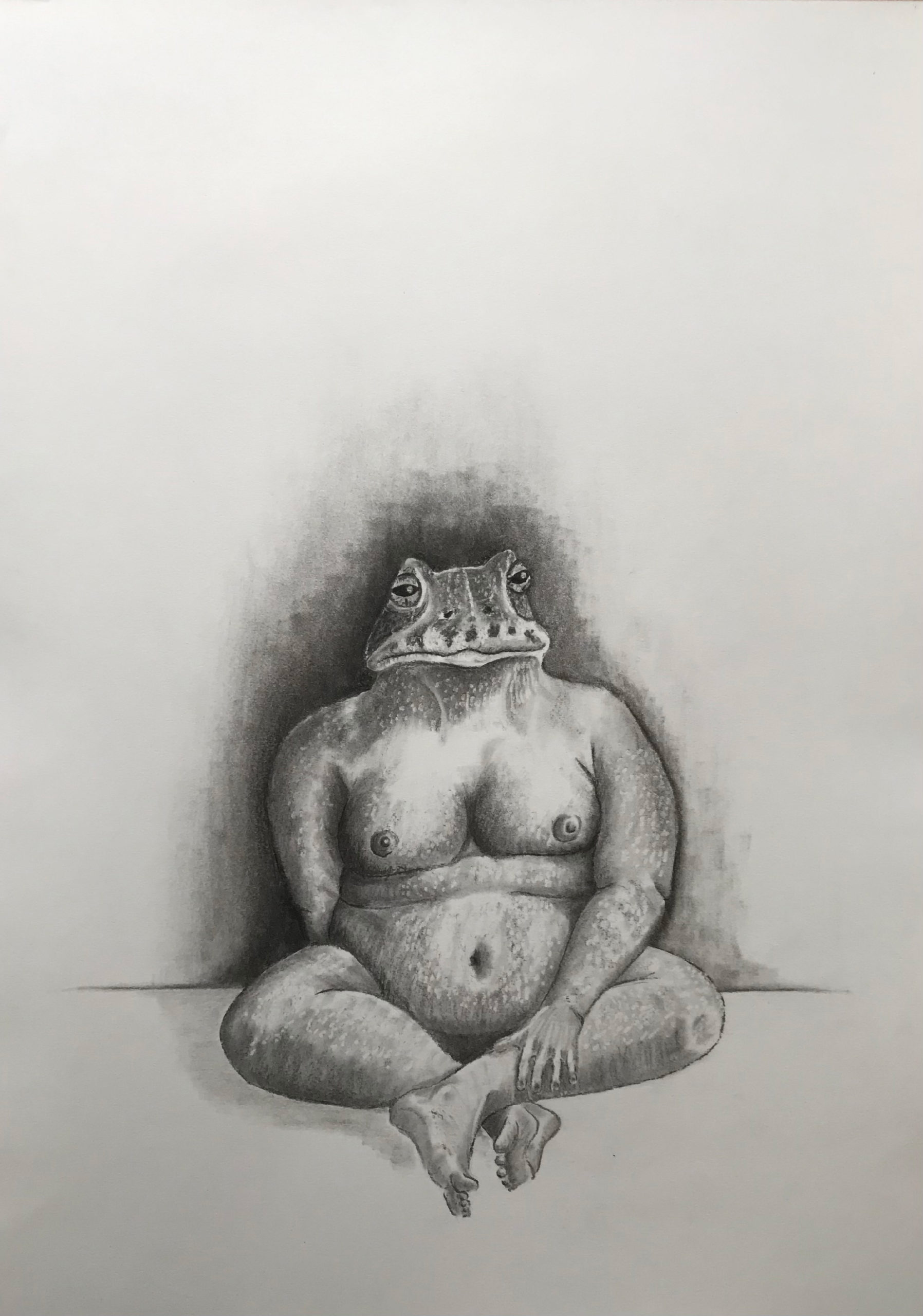 A charcoal drawing of a curvy naked, female body with a frog head sits on a white surface and looks straight ahead as if posing for a portrait. Behind her is a black shadow and the rest of the background is white.