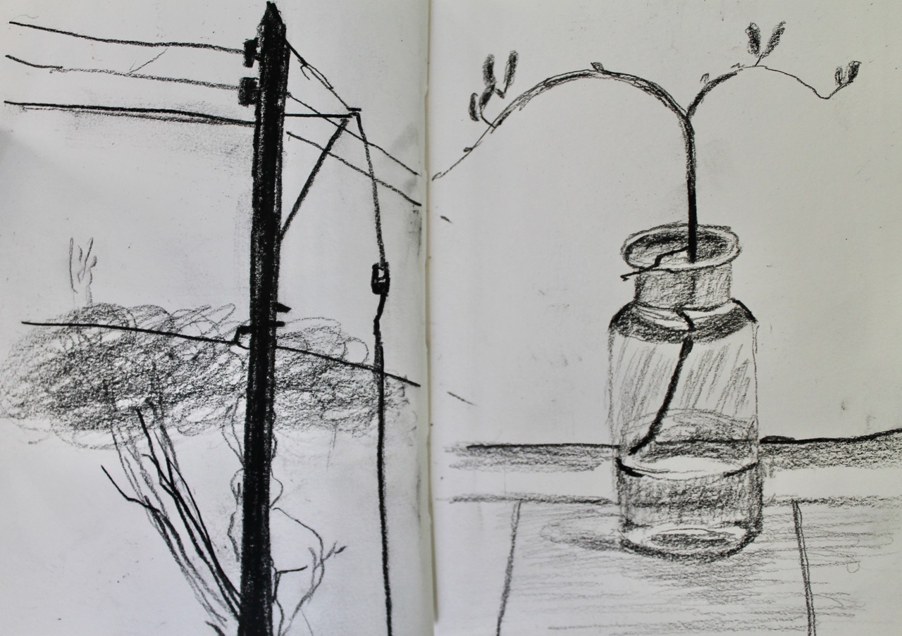 A black and white charcoal sketch. On the left page, there is a telegraph pole; it's cables stretched above a rooftop. On the right, there is a small, spindly plant growing out of some water in a small bottle-like vase.