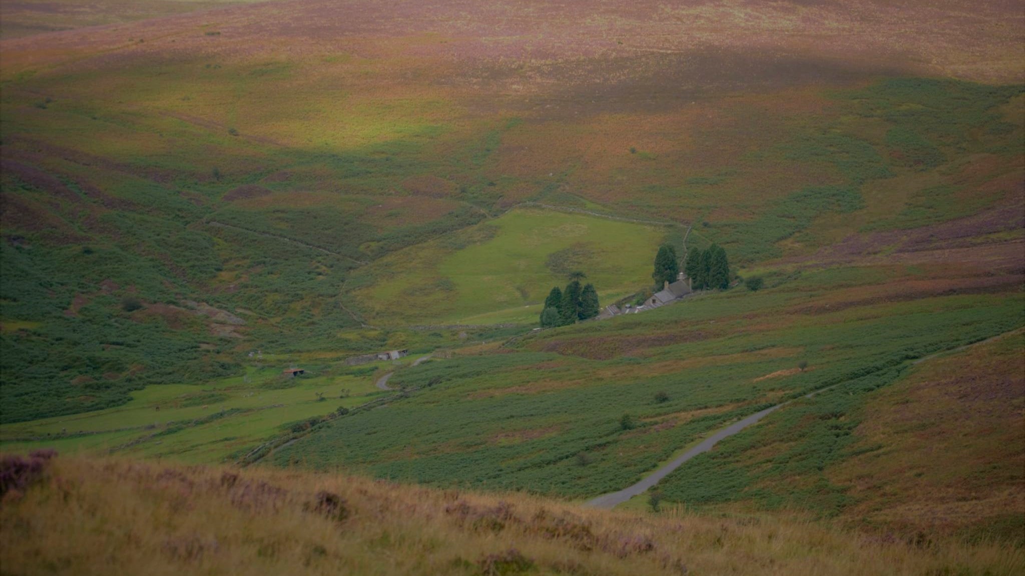 A landscape painting of green and purple-y hills with a cluster of small, distant houses in the centre which are surrounded by some trees.