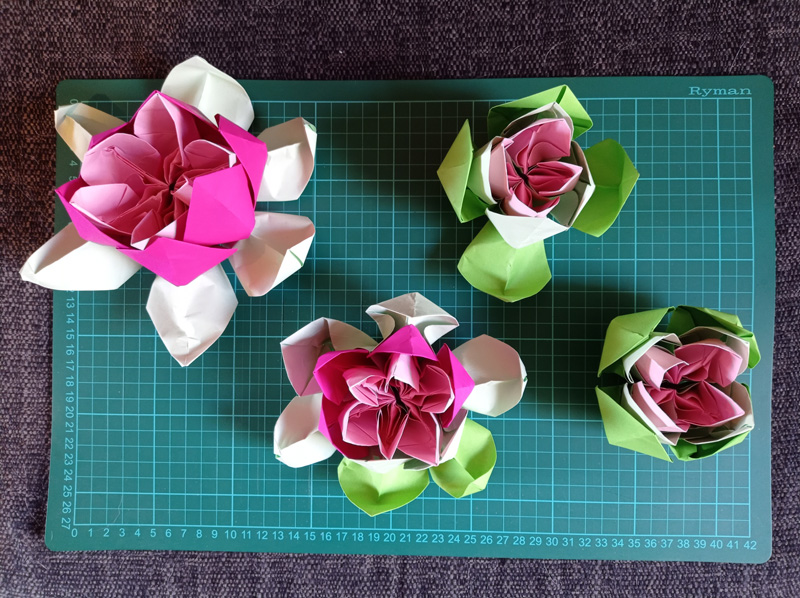Four card-crafted flowers are photographed from a birds-eye-view, sitting on a measuring mat. The sizes of the flowers decrease from left to right as the white sepals of each pink flower gradually turn green.