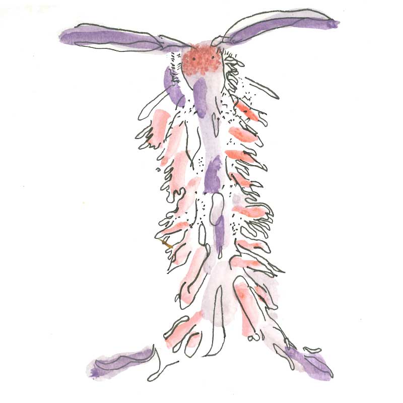 An illustration of a purple and pink fuzzy creature similarly shaped to a caterpillar.