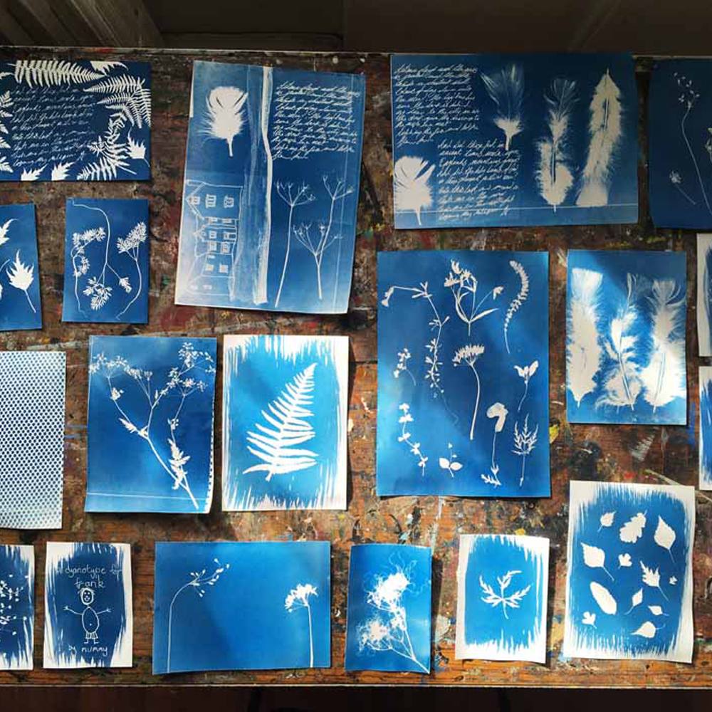 How to Make Cyanotypes of Flowers - Nature TTL
