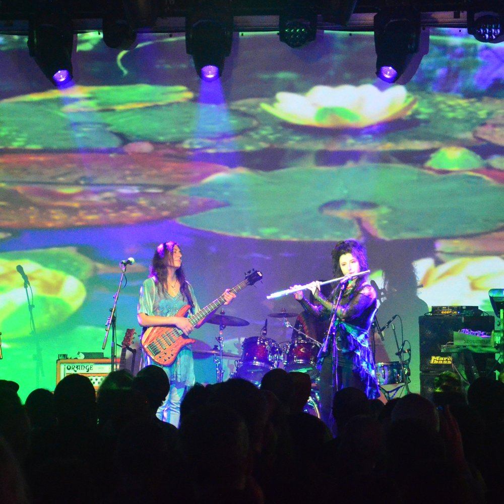 ozric tentacles gong tour