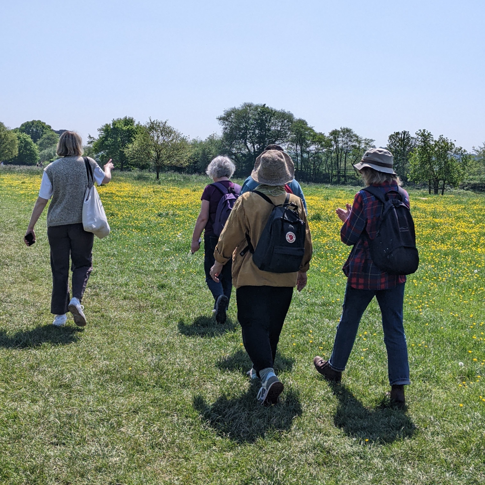A group of people walking through a field on a sunny day