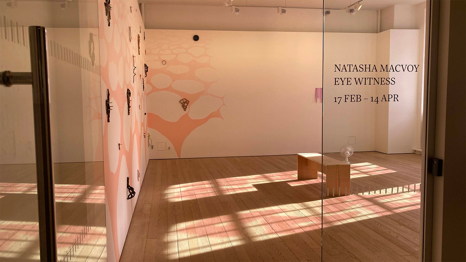 Natasha MacVoys exhibition which is casting pink shapes onto the gallery floor