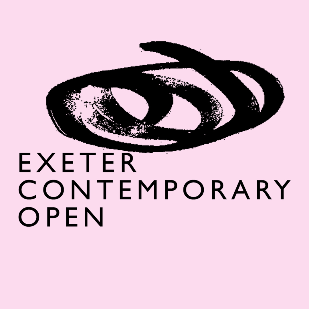 An annual open submission exhibition, providing an important national platform for contemporary visual art with an emphasis on supporting emerging talent alongside more established artists.