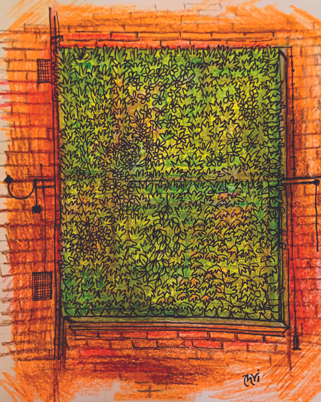 A drawing of a brick wall with a green 'living wall' on top of it - a rectangle of plants arranged vertically