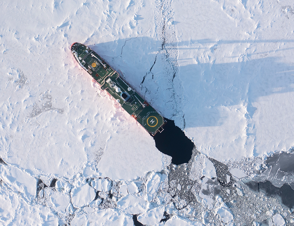 LFF Endurance Exeter Phoenix