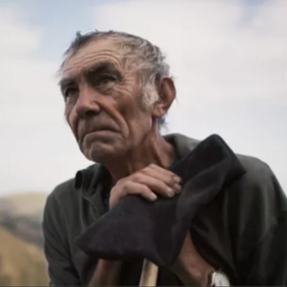 The Shepherd and the Bear