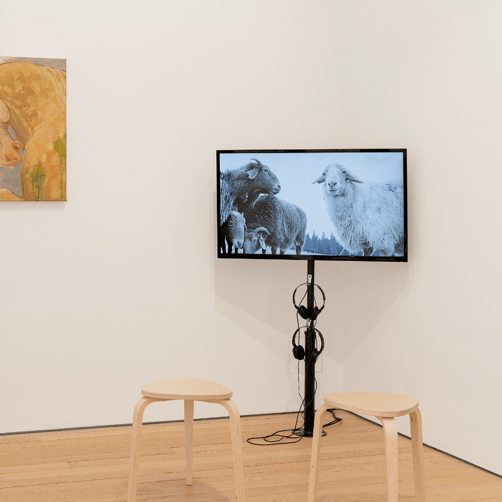 Yiduo Cheng (Photo Credit Dom Moore) Yiduo Cheng (Photo Credit Dom Moore)