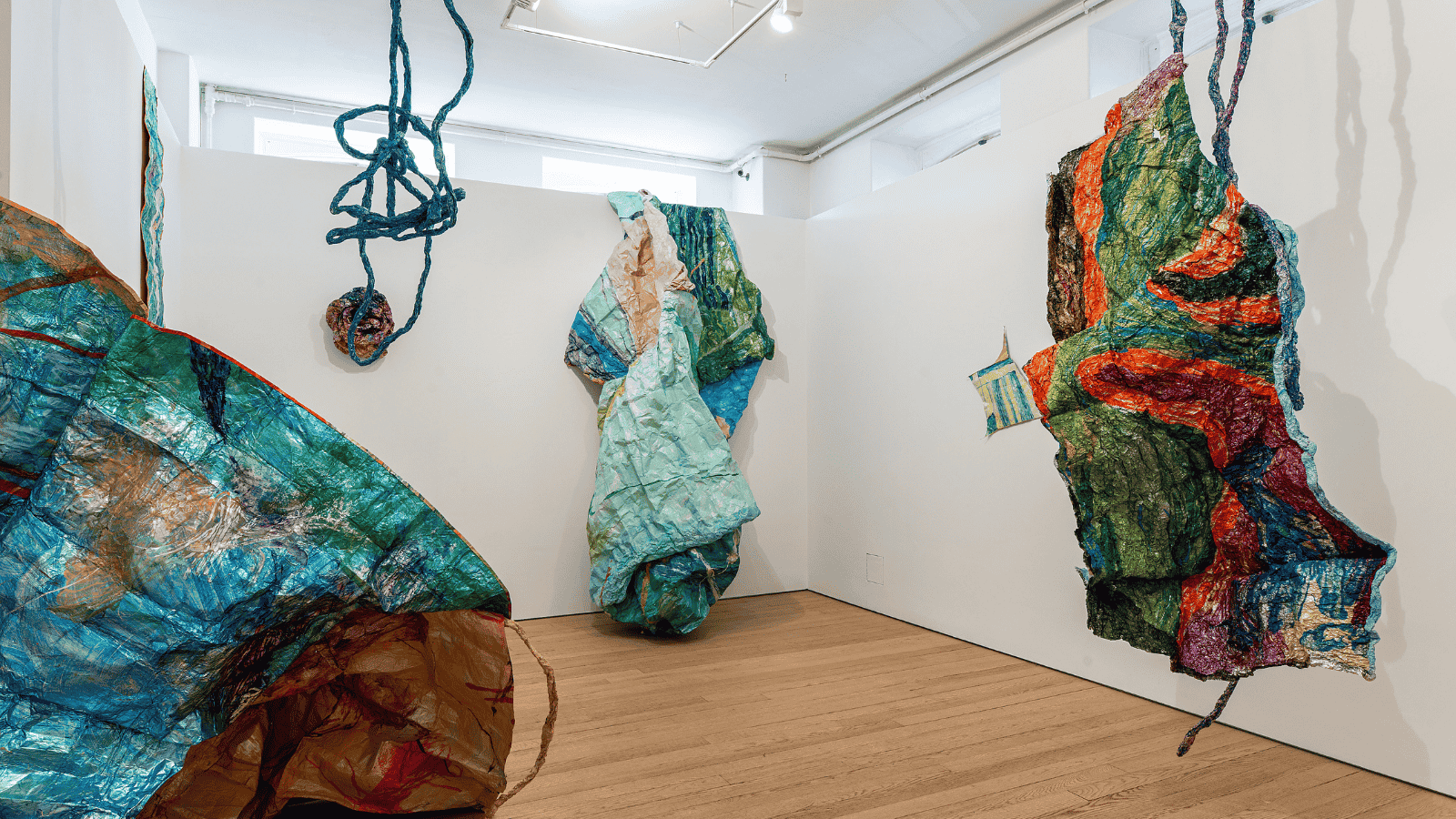 Sarah Ryder Multiferals 2025