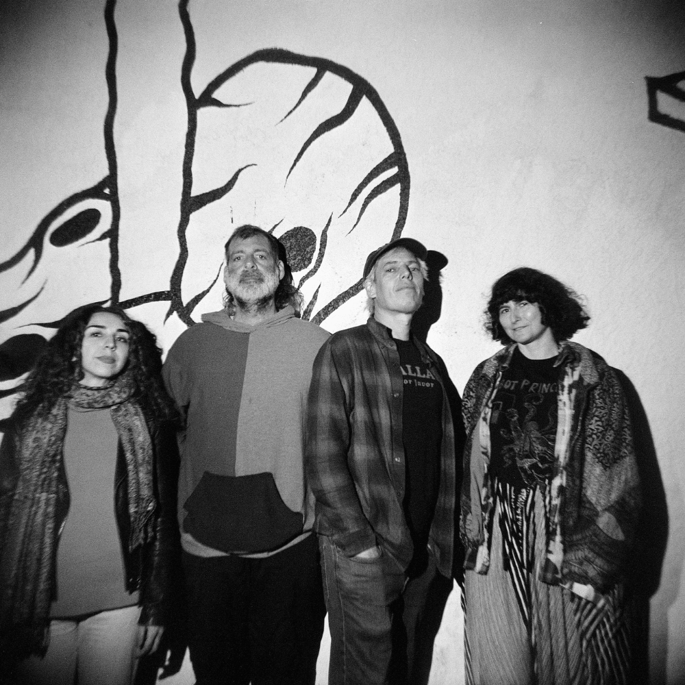 Jeffrey Lewis and the Voltage Jeffrey Lewis and the Voltage