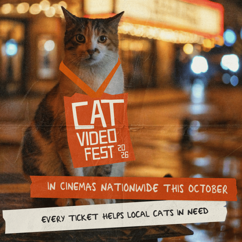 Cat video Fest