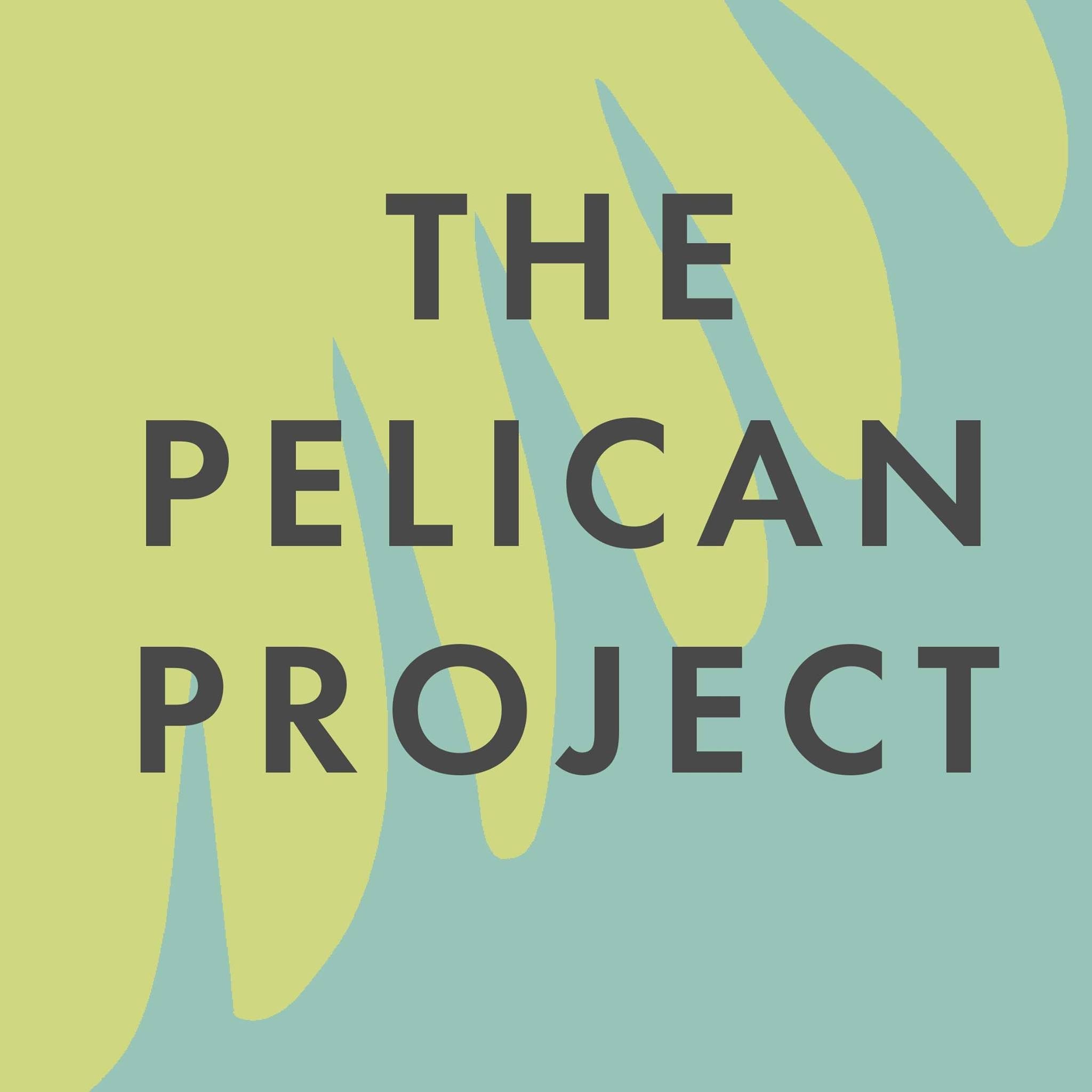 A collective of learning-disabled members, families, teachers and partner organisations offering regular groups, projects and social activities that reduce isolation and raise quality of life.